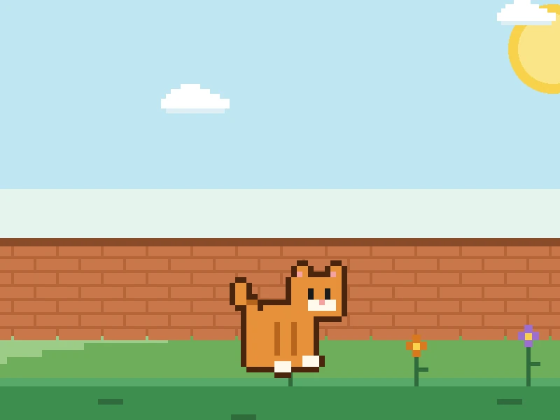 The Curious Cat