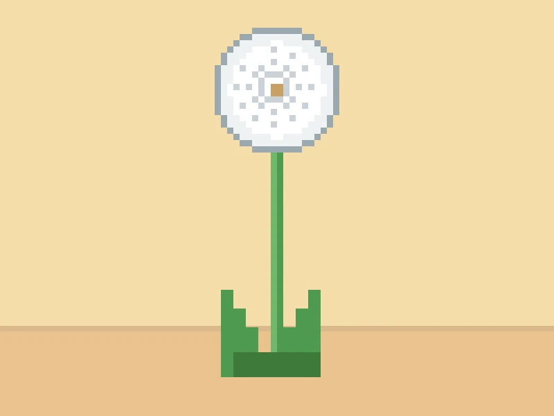 dandelion