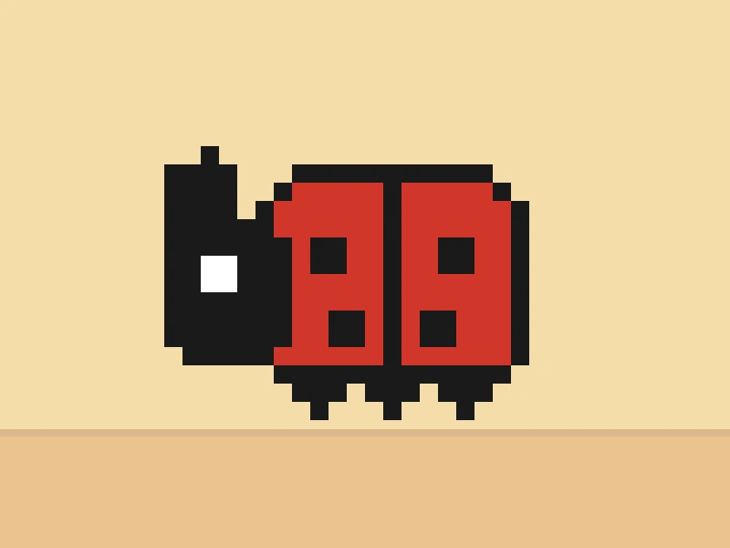 insect