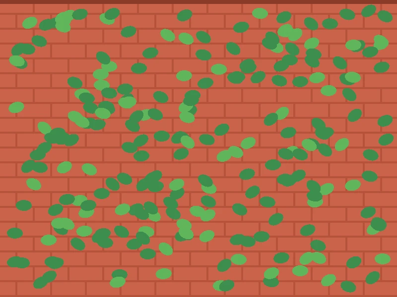 ivy