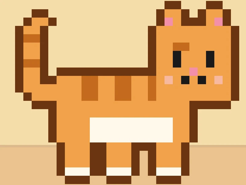 kitten